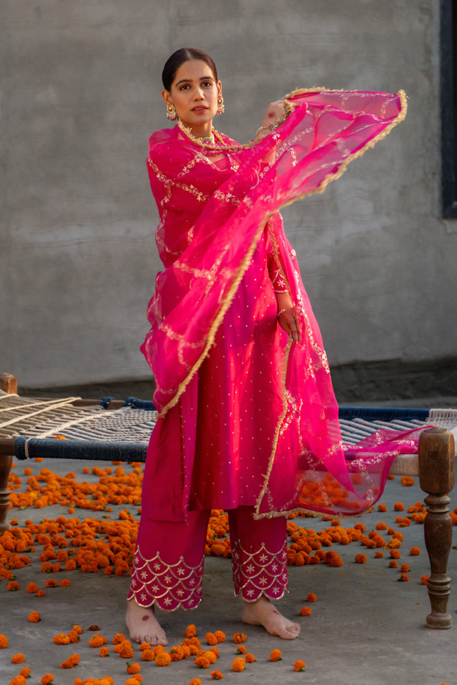 Rani Aari A-Line Suit Set