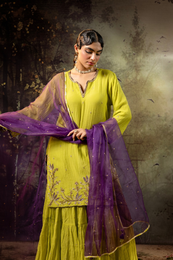 Neon Green Daman Lappa Sharara Set
