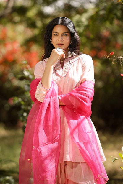 Blush Pink Farshi Salwar Set
