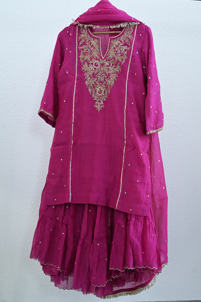 Rani Pink Side Panel Sharara Set