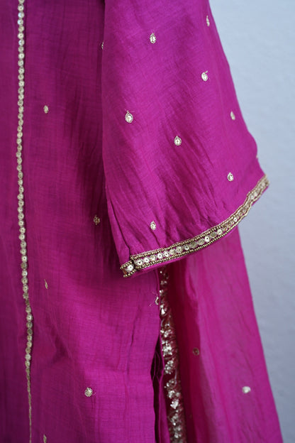 Rani Pink Side Panel Sharara Set