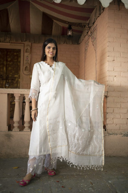 Light Grey Chanderi Silk Suit Set