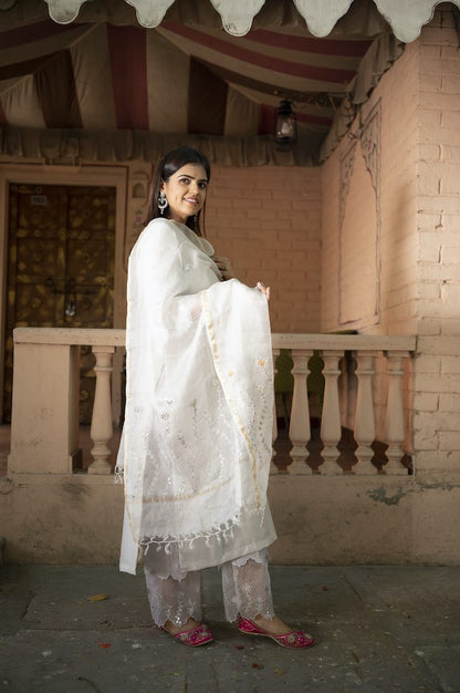 Light Grey Chanderi Silk Suit Set