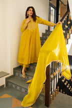 Lime mustard Tissue centre gathered A-line Kurta Set