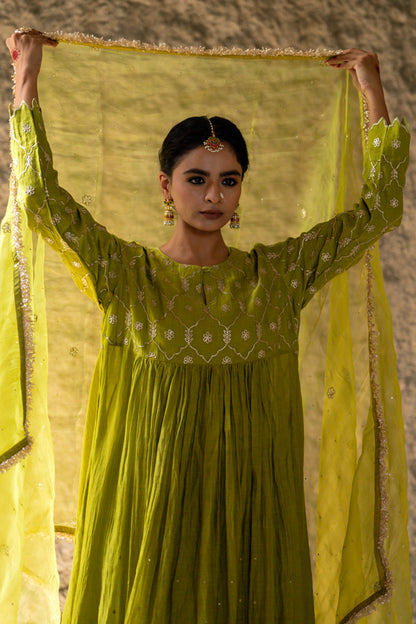 Neev Olive Green Aarkali Suit Set