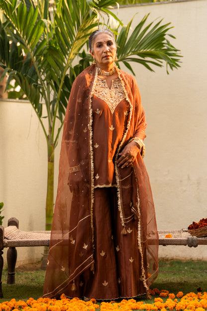 Brown moti daman sharara set