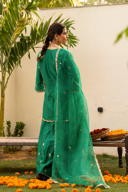 Green moti daman sharara set