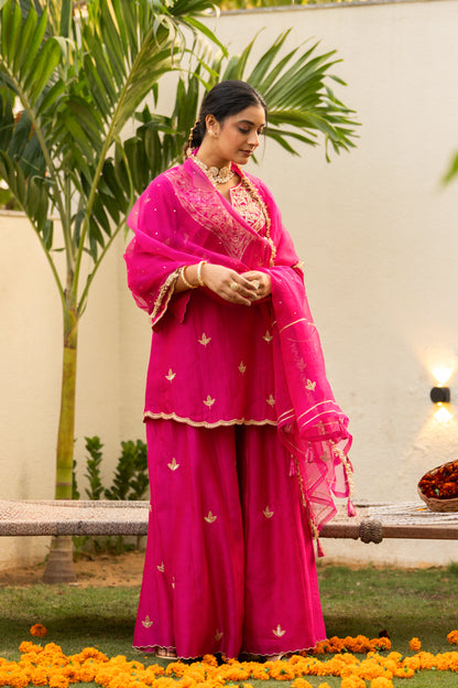 Pink moti daman sharara set