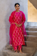 Rani Pink Jaal Straight Kurta Set