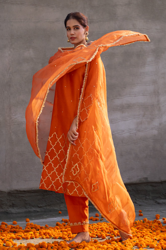 Neev Rust A-Line Suit Set