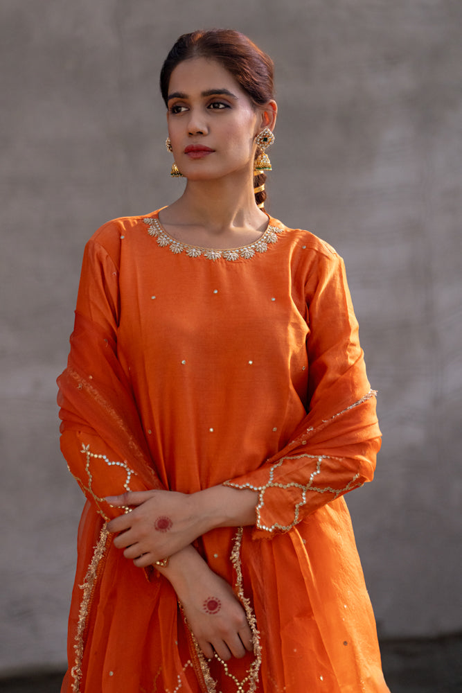 Neev Rust A-Line Suit Set
