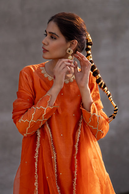 Neev Rust A-Line Suit Set