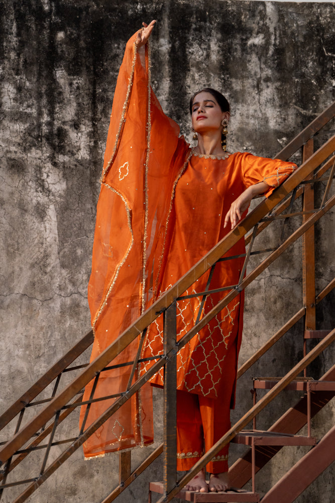 Neev Rust A-Line Suit Set