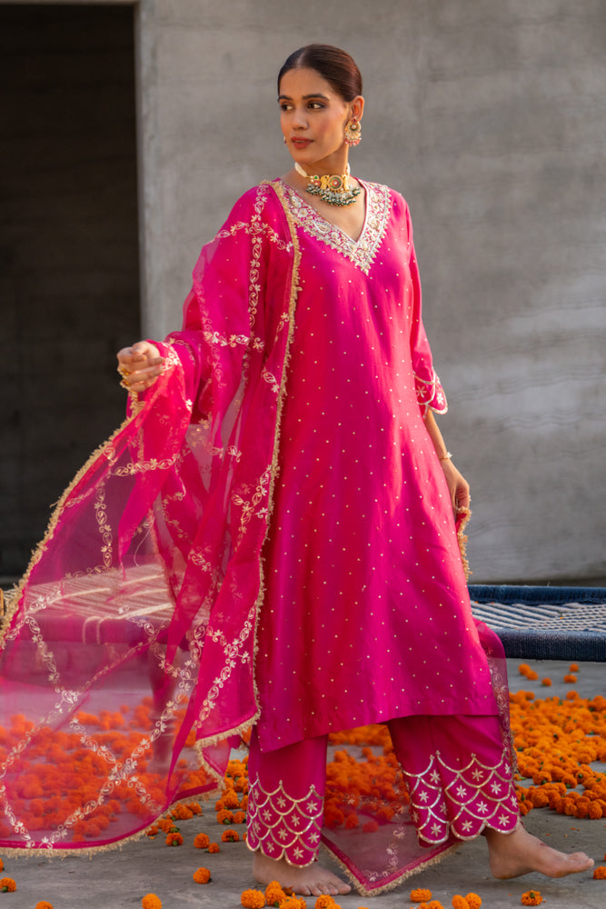 Rani Aari A-Line Suit Set