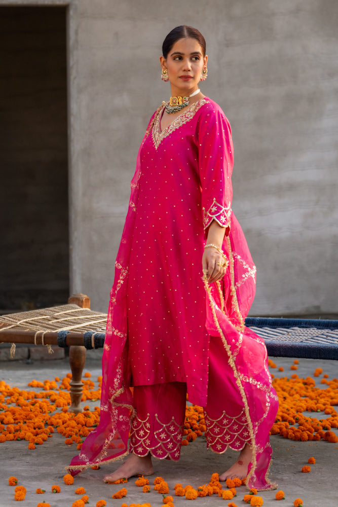 Rani Aari A-Line Suit Set
