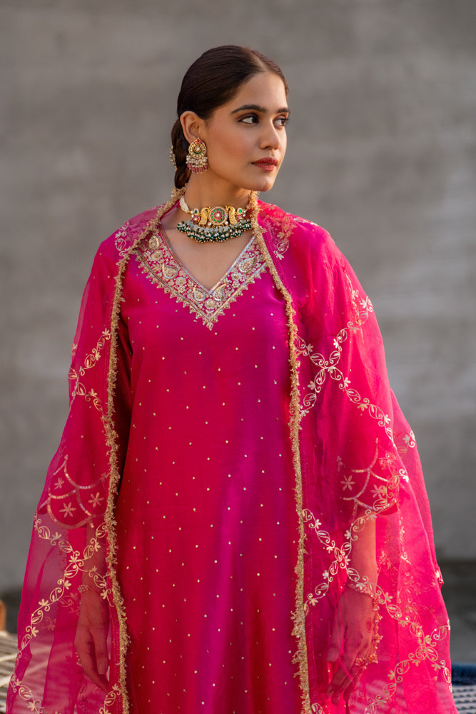Rani Aari A-line Kurta Set