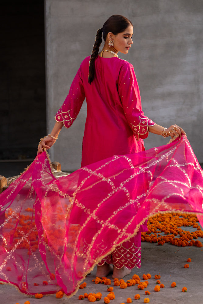 Rani Aari A-line Kurta Set