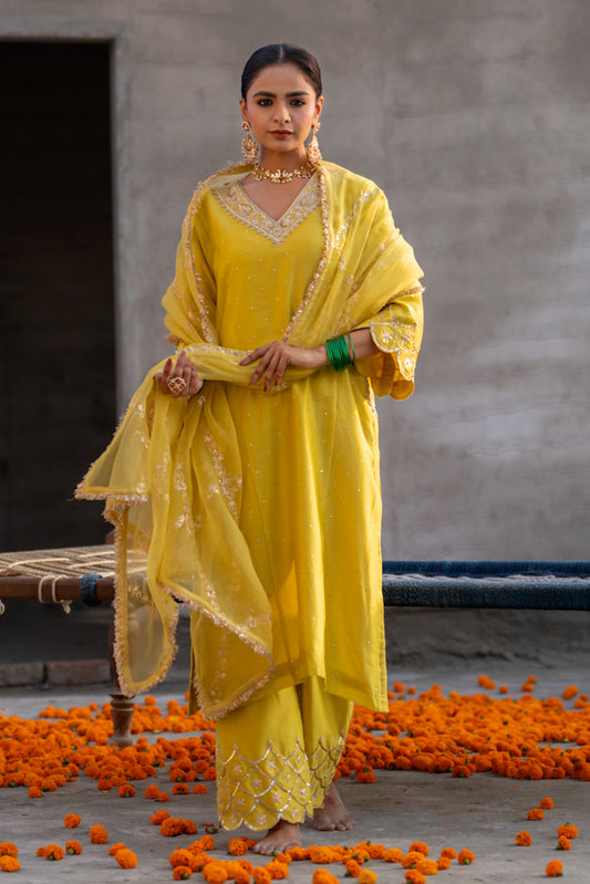 Yellow Aari A-Line Suit Set