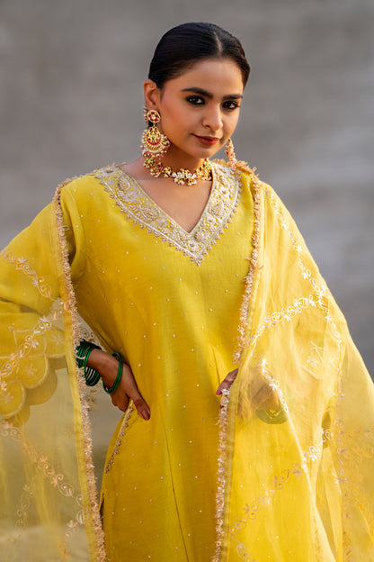 Yellow Aari A-Line Suit Set