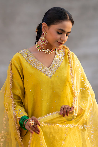 Yellow Aari A-Line Suit Set