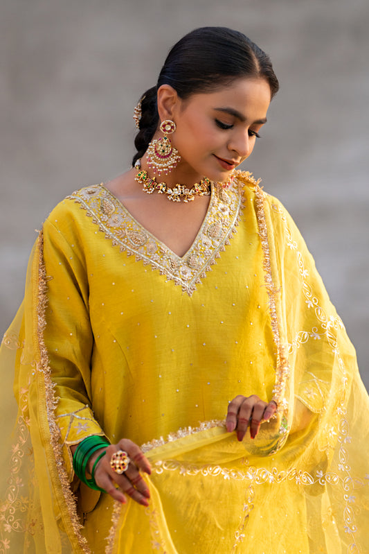 Yellow Aari A-Line Suit Set