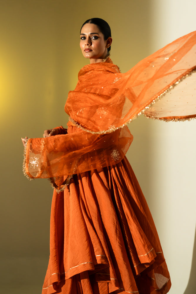 Rust Gota Stripes Anarkali Suit Set