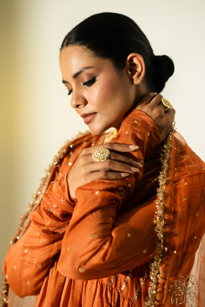 Rust Gota Stripes Anarkali Suit Set